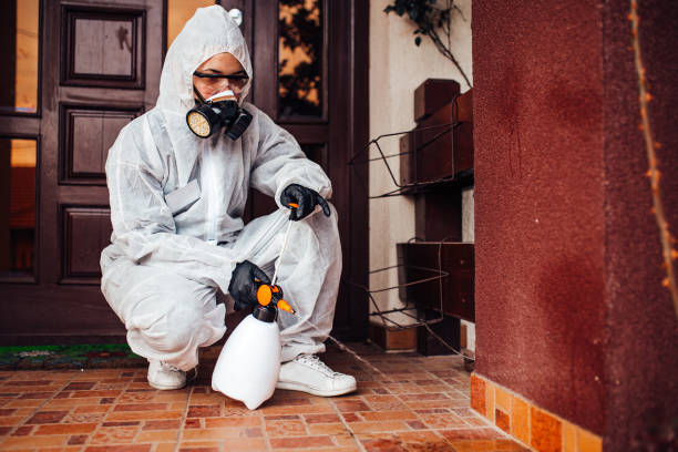 Reliable Wasp Removal contractor in Simpsonville, SC by Show Me Pest Control